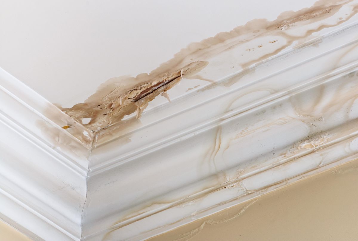 800askmark's tweet photo. Fixing a ceiling leak is about to join your #DIY skill set. #homerepairs  https://t.co/ynKzZR3beZ https://t.co/sgvllagxwB