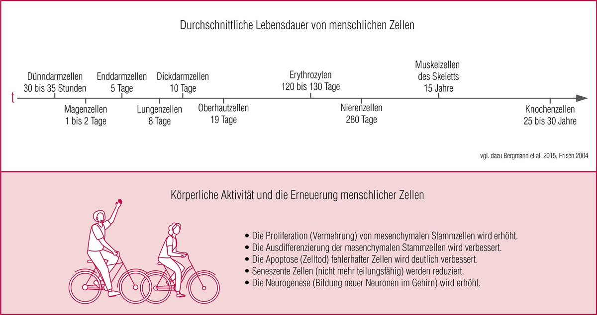 #Bewegung als Transformationsstimulus ⁦@DVGS_eV⁩