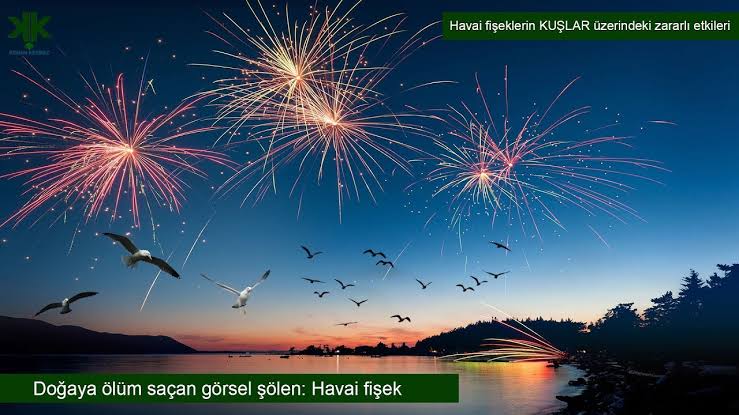 Kısa sureli zevk icin kullanilan havai fisekler, basta kuslar olmak uzereonlarca hayvanin kalp krizi gecirmesine ve kalici hasarlarin meydana gelmesine sebep oluyor. #havaifiseklereHAYIR