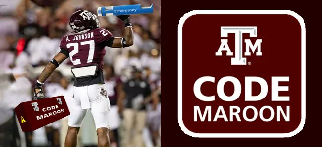 Texas A&M Technology Services tweet media