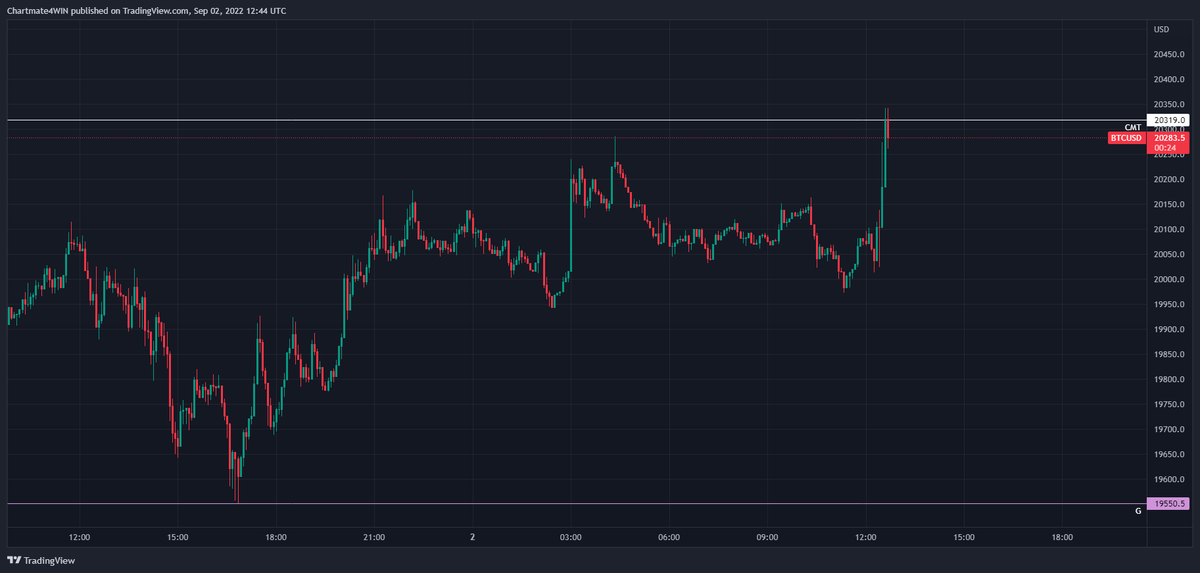 Chart_Mate's tweet photo. Si festeggia! Dopo l'euforia della news (again😅), il pump proprio nella nostra trappola.

Bisogna ammettere che è stata un operazione che ha richiesto estrema pazienza, abbiamo 'combattuto' per 4 ore, difficoltà alta. 

Godiamoci la discesa, raccogliamo i parziali, no avidità🎉 https://t.co/SVleeIh6ib