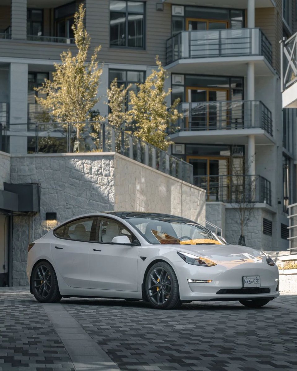 ⚡️ Charged up and lowered on #EibachSprings ⚡️
Owner: @afina_tm3

#Eibach #EibachCanada #TeamEibach #EibachProKit #TeslaModel3 #Model3