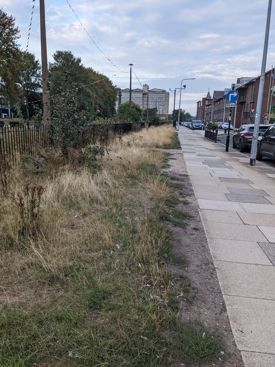 oscalet's tweet photo. Can someone remind me why @Hullccnews cut down all the trees down here? Was it supposed to be an improvement? https://t.co/bZCNbZga0B