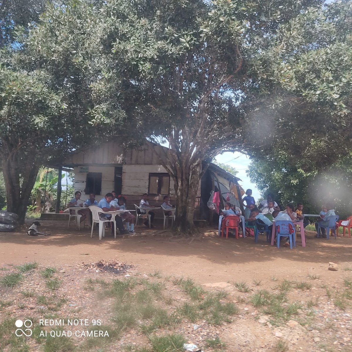 #Macondo 
En un rinconcito de nuestro cálido Caribe, y en pleno Siglo XXI, los niños aun reciben clases bajo los palos de mango. #CuándoLlegaráLaRedención...

<a href="/koskita/">Luz Marina López</a> <a href="/pnud/">ONU Desarrollo</a> <a href="/PrensaRural/">Agencia Prensa Rural</a> <a href="/CmdteCaribe/">Comandante Caribe</a> <a href="/23ALZAT/">MARIA CRISTINA ALZAT</a> <a href="/Losnadies2/">Los nadies</a> @katiuskaEdo <a href="/IrinaMar10/">Irina ☭🇷🇺</a> <a href="/literlandweb1/">literland</a> <a href="/FLazosDignidad/">Lazos de Dignidad</a>