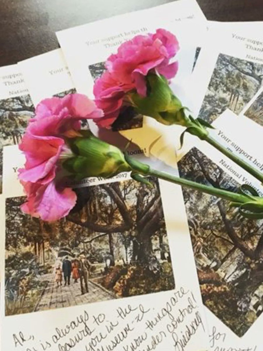 HBPlantMuseum's tweet photo. Yay it’s Friday, time to visit a museum! 

#hbplantmuseum #plantmuseum #flmuseums #tampabay #utampa #Museums2022 https://t.co/t21S6BVQcW