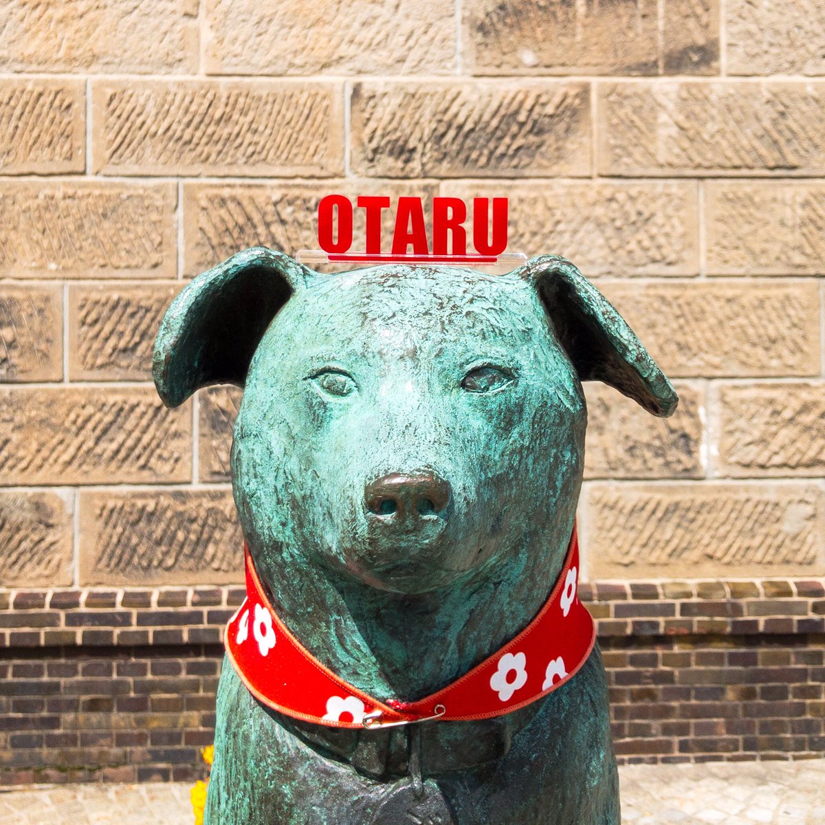 小樽市観光物産プラザ(運河プラザ) on Twitter