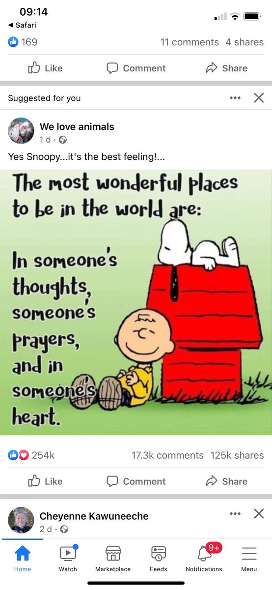 GraceGCollin's tweet photo. Happy Saturday. https://t.co/RRQeCVPvLB