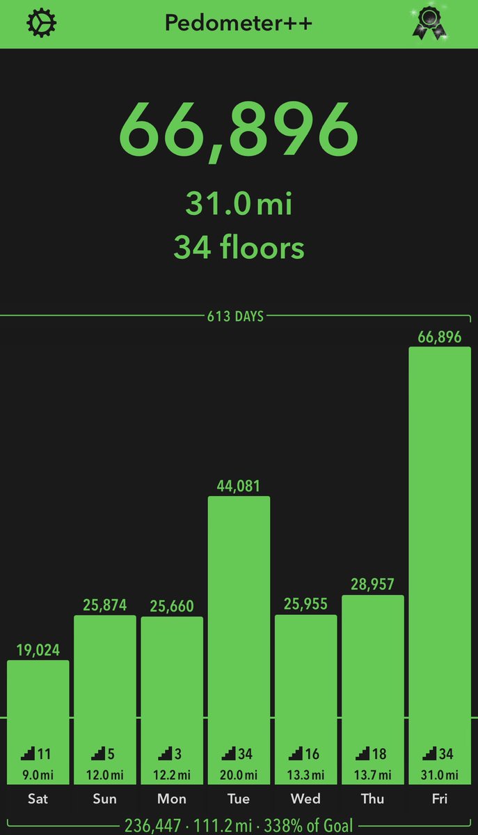 LizLegunsen's tweet photo. So I did a thing today and took the most recorded steps I have ever done, I am determined never to go back to being extremely overweight again🙌🏼🙌🏼💃🏽💃🏽🙏🏼🥰🥰🎉🎉#transformation #hotstepper #walking #challenge #determination #LizLegunsen https://t.co/A8PnScNgqm