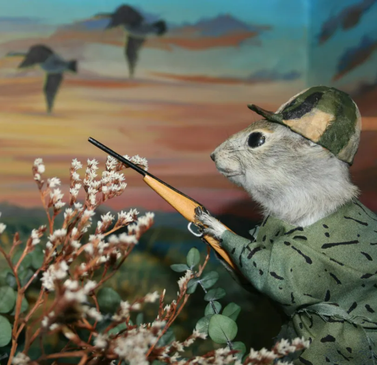 Small Museums Canada tweet media