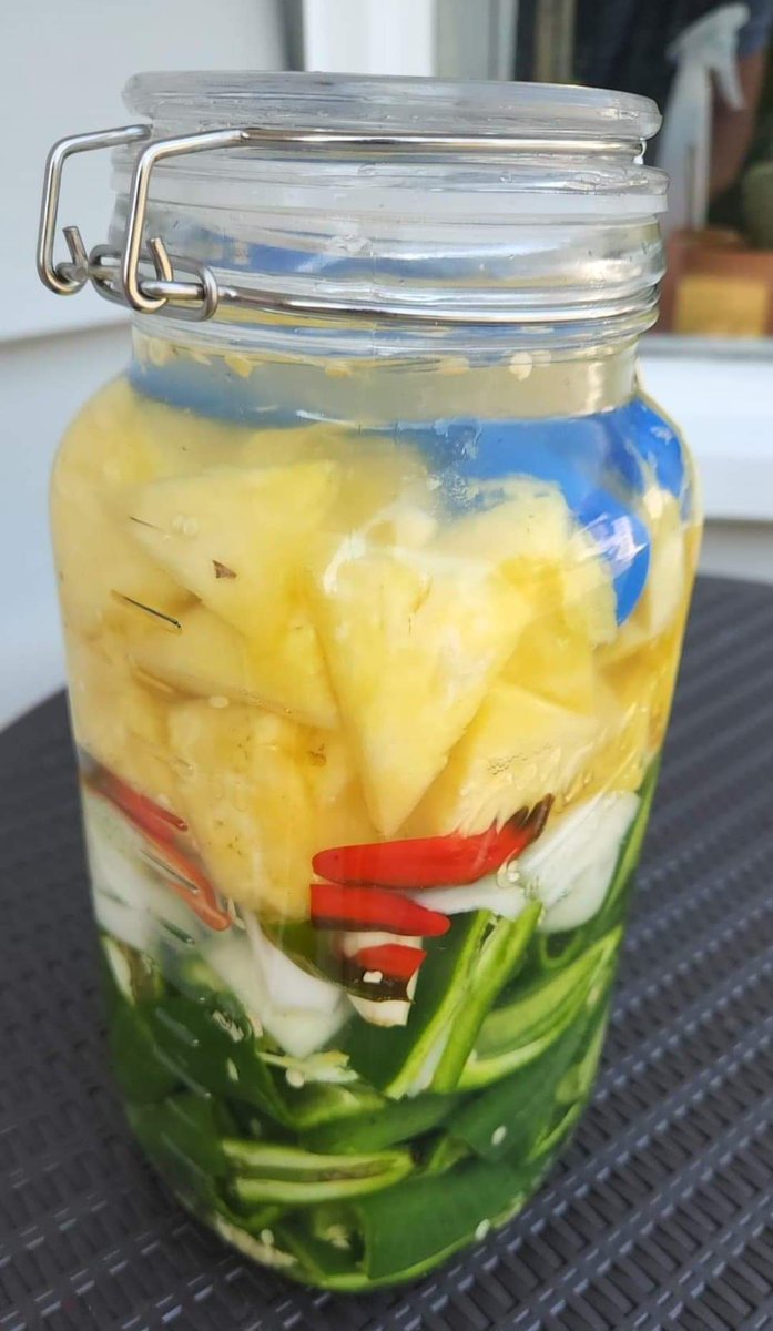 cooliocuneo's tweet photo. #FermentationFriday... Hatch chilies, Serranos (homegrown, thank you @leah_cuneo) onion, handful of garlic cloves and 1/2 pineapple. See you in about 1 month. @therealweissman #FermentedHotSauce
*The blue things are just weights to keep everything below the water line. https://t.co/OHZQFUknS3