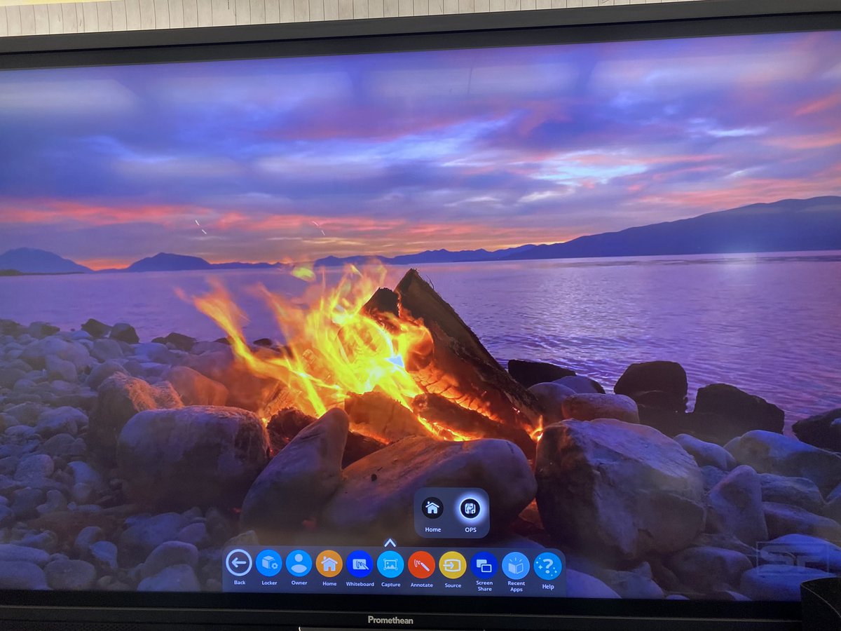 Elba Scheel 🍎 tweet media