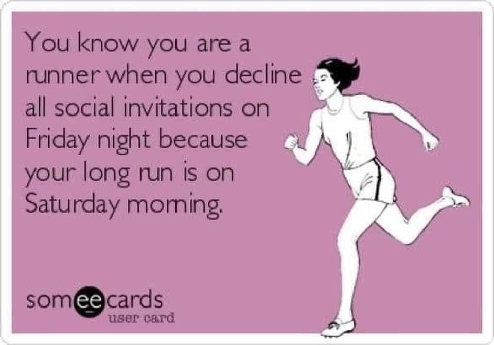 SchermsLHS's tweet photo. Truth. #fridayrestday https://t.co/yP3ssfk39M