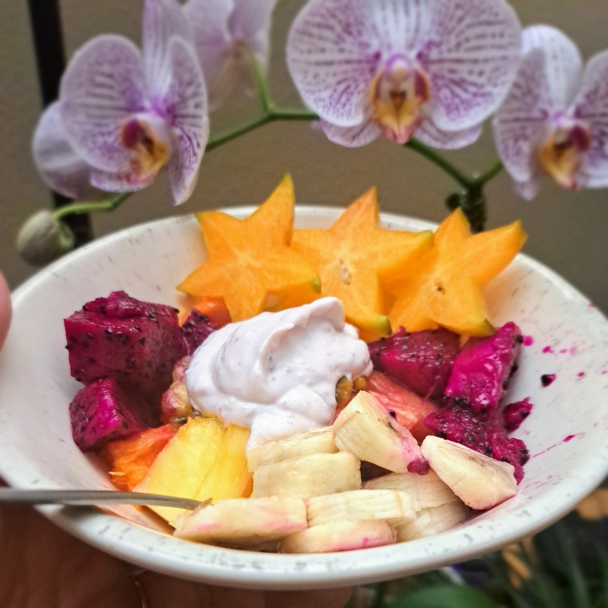 Michelle Friesen tweet media