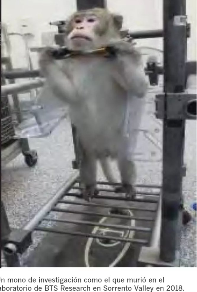 Cautividad con tortura