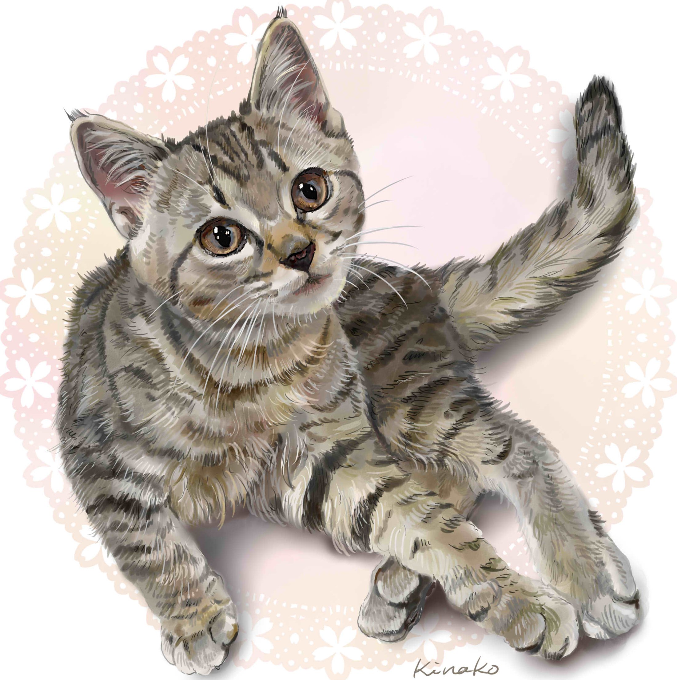 きなこ 猫の絵を描いています 91rudo Twitter