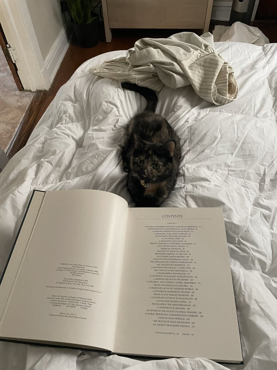 Best secondhand finds of the summer: 60s Danish teak arc lamp, George Nelson pendant, André Minaux lithograph, and the cutest, hungriest tortie in the world ❤️🥹