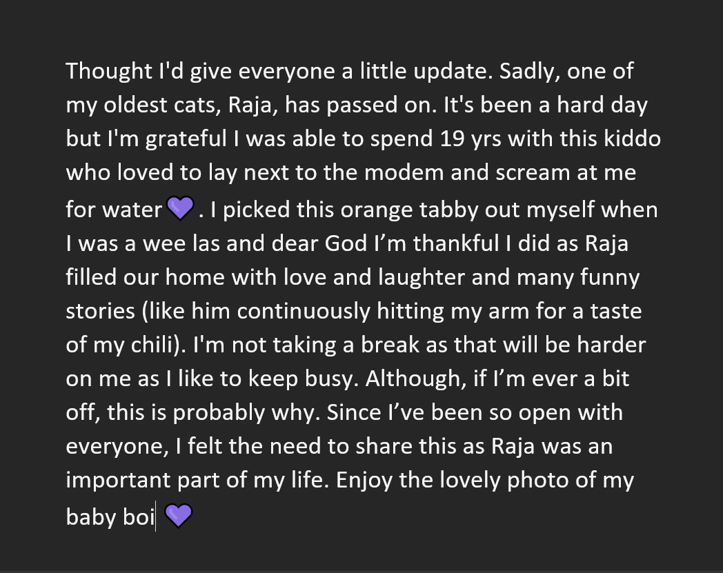 switchblade-on-twitter-catoriasmr-i-very-sorry-for-your-loss-catori
