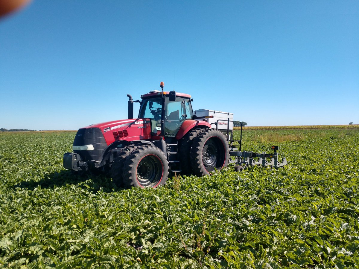 gvjfarms's tweet photo. So I tried a thing yesterday. Inter-seeded a CC mix to see if it'll survive sugarbeet harvest and remain to keep the ground from blowing. I haven't had any luck getting it established when flown on prior to harvest. #sugarbeets #covercrops #tryingtolearn https://t.co/taBVu1wPpD