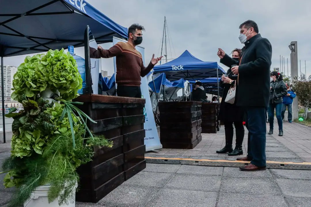 LaQuinta_Spa's tweet photo. En el #dianacionaldelvino estuvimos presente junto a @vinodeldesierto @teck y @puertodeiquique en la celebración de esta bebida de profundo arraigo cultural y económico, en nuestro país y nuevamente en nuestro territorio.
#laquintatechosverdes #granjahidroponicaenazoteaurbana https://t.co/slG9QkGihK