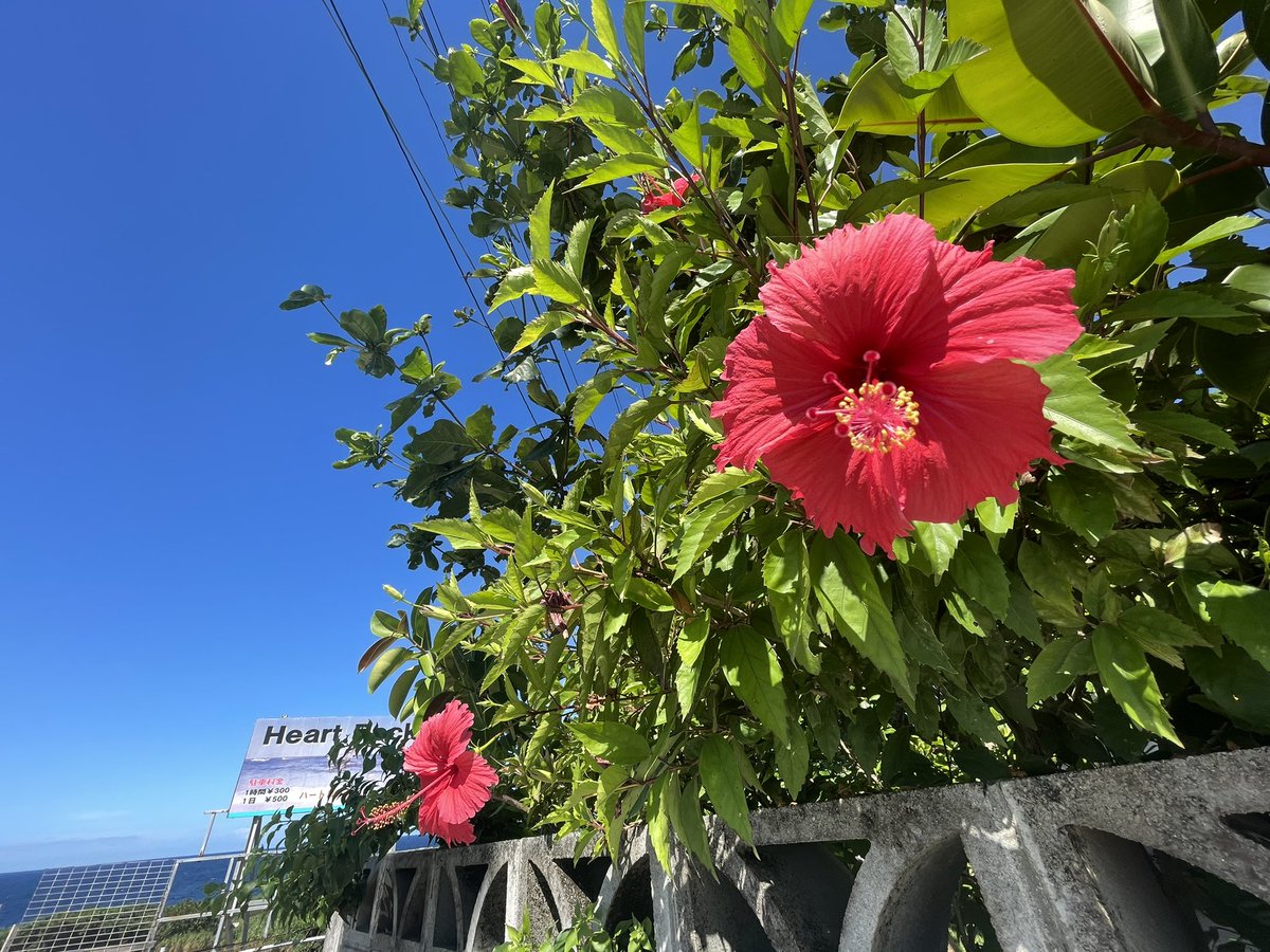 ami_ars_'s tweet photo. 夏休みは高校時代の友人と毎年恒例の旅行でしっかりとリフレッシュさせていただきました��毎年長期の休みが頂けるのもシェフや理美さん、お客様のおかげです！今日から営業ですが本日は11時オープンです。今日からまたがんばります🏄‍♂️ https://t.co/rCBoIqkDpV