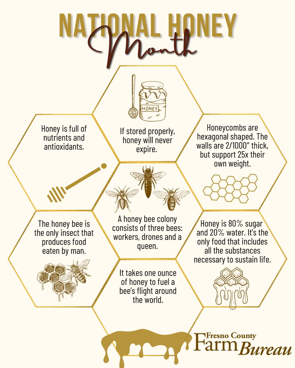 fcfb_ag's tweet photo. September is #NationalHoneyMonth 🍯🐝 #Bee sure to enjoy some delicious honey this and every month! #buzz #FCFB https://t.co/0DsrLl3cXC