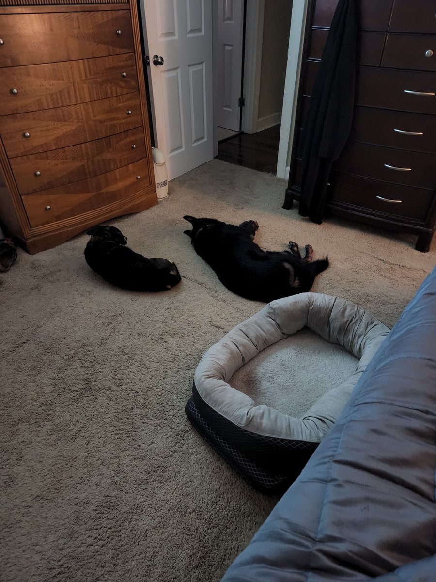 Valkyrie valkyr101.bsky.social tweet media