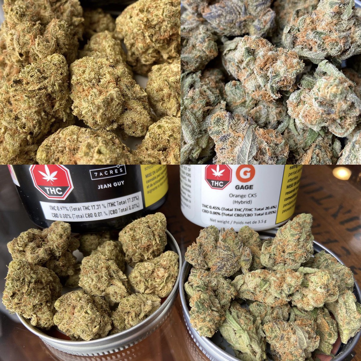 Randy Lahey tweet media