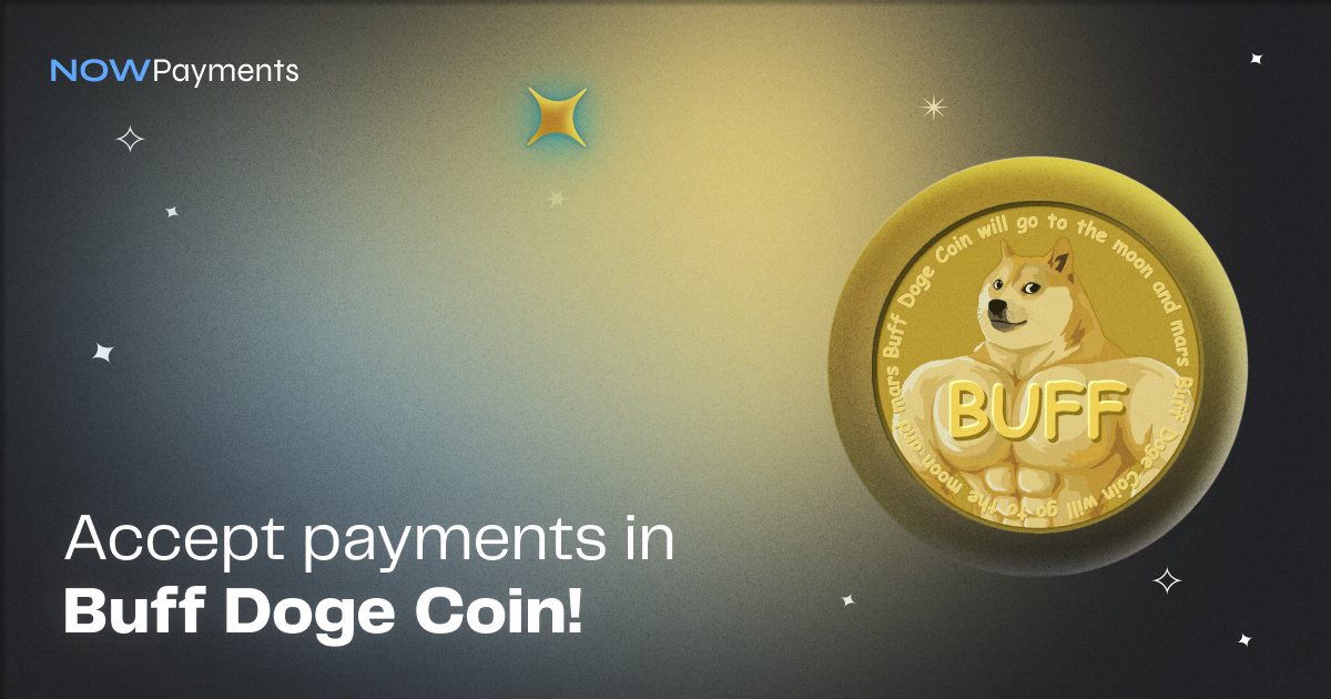 Kojima🍥 tweet media