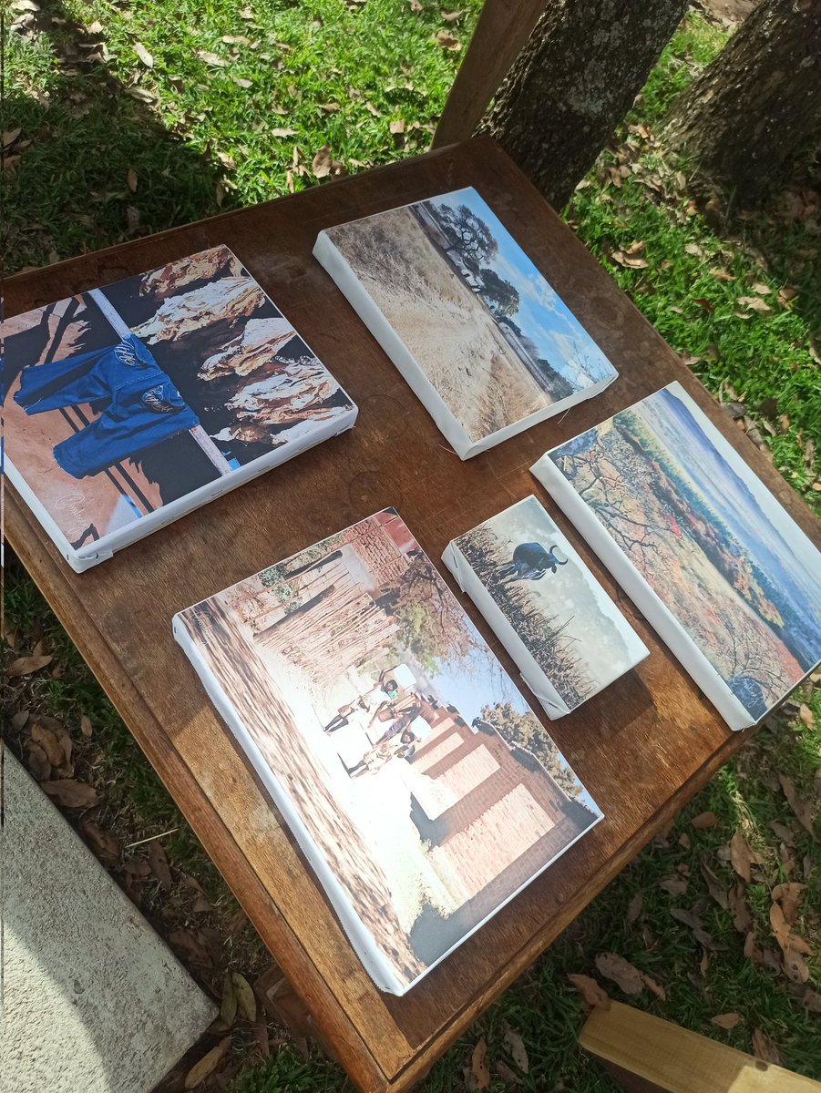 cas_pvo's tweet photo. We visited Core Art to meet and supporting @EloiseMaloney  on the exhibition of her photography in Marondera. Her love for the nature, coupled with her hobby in photography has produced some amazing 

She pledged the proceeds from this event to #Walk4Life

#Walk4Life #nature https://t.co/bIH5NvjVMF
