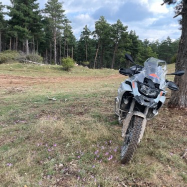 MotorRodi's tweet photo. EN RODIBOOK, NOS COMPROMETEMOS🏅
Gracias por cuidar nuestra naturaleza y nuestros bosques! Nos vemos en el Rodibook 2022.
#rodibook #rodibook2022 #rodi #rodimotorservices #motos #vielha https://t.co/0eH3aCxQhS