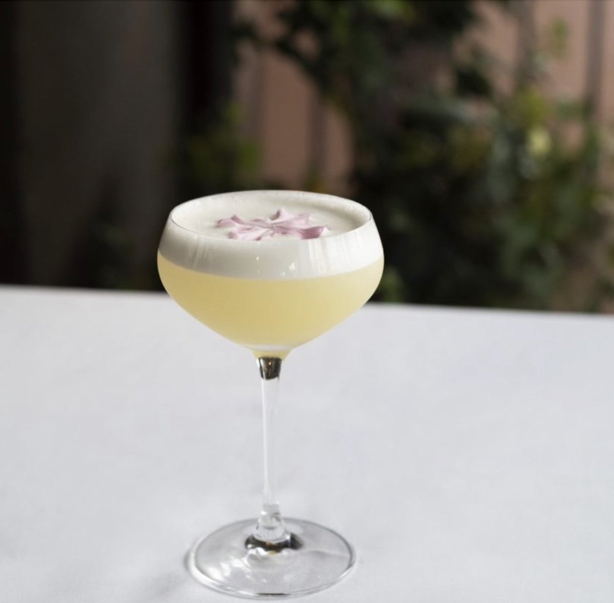 CinCin Ristorante tweet media