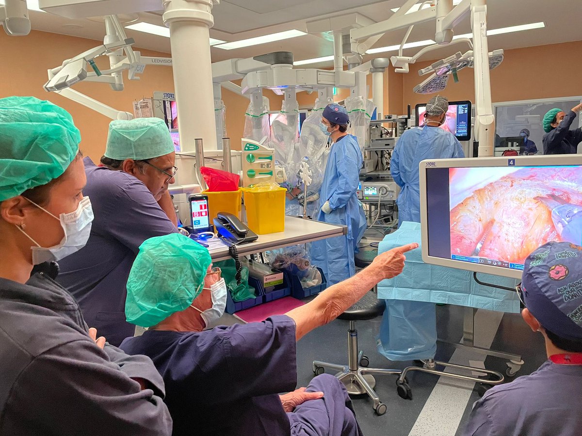 Sofi Thomas tweet media