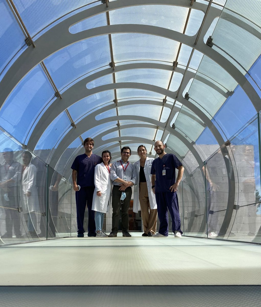 Sofi Thomas tweet media