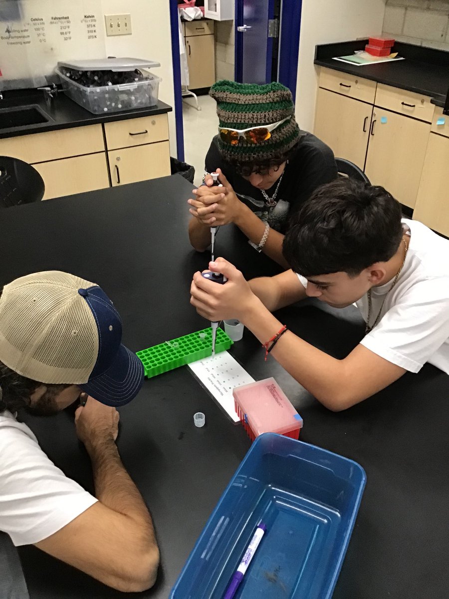 Today really feels like we are back doing biotech… micropipets out, moving tiny volumes,  precision, accuracy, AWESOME!  BT❤️ ⁦<a href="/AltaLomaHigh/">Principal</a>⁩