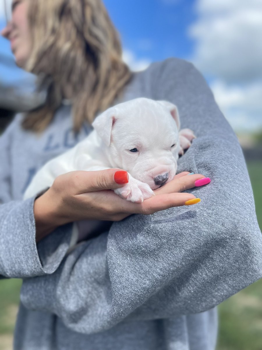 seriouschick's tweet photo. Da babies went outside!! #kcpp #AdoptDontShop https://t.co/sFNolfVA0V