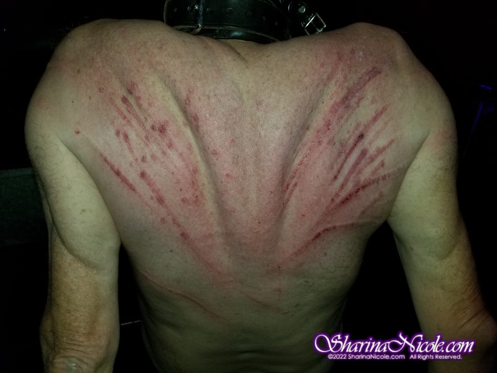 SharinaNicole's tweet photo. I'm in a COMA today! My TX slave is home safe now๐ BUT the residual effects linger ๐
Getting caught up today! My sched of appts light next week (for now) #NoRestForTheWicked
Used 2 different #Singletails My fav 4" on the right ๐
More pics #Fetlife
https://t.co/p6JuoaYx5Z https://t.co/ZrWQPovw6K