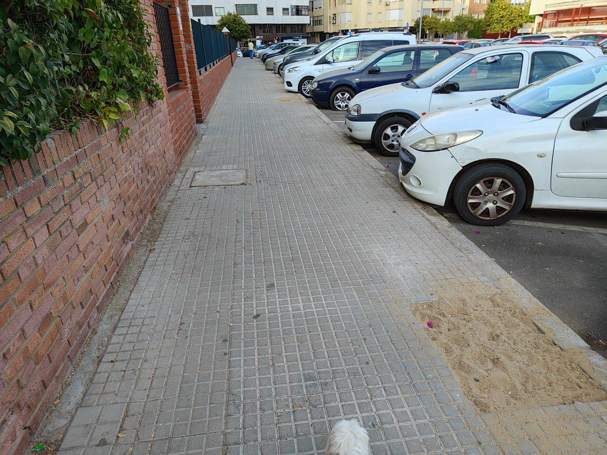 AlejandroTV_'s tweet photo. @aytodebadajoz para cuándo los árboles en la calle Antonio Juez al lado de Díaz Brito?? Darán una nueva imagen a la calle y ganaremos mucho ;) #badajoz #mola https://t.co/n7372Cp4JU