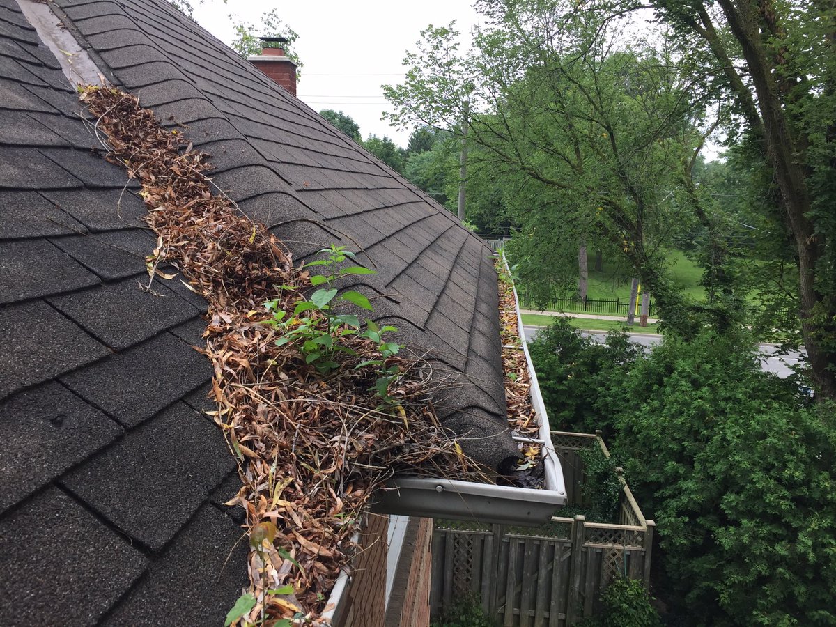 phatwc's tweet photo. #GutterCleaning we’re busy this time of season as homeowners want to prevent damage over winter with clogged gutters. Get your quote online https://t.co/44fRytoNYe #Mississauga #Oakville #Burlington #Milton #Georgetown #Acton #Brampton https://t.co/2gziIKS50e