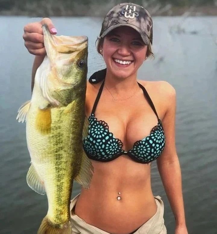 Name the fish ??