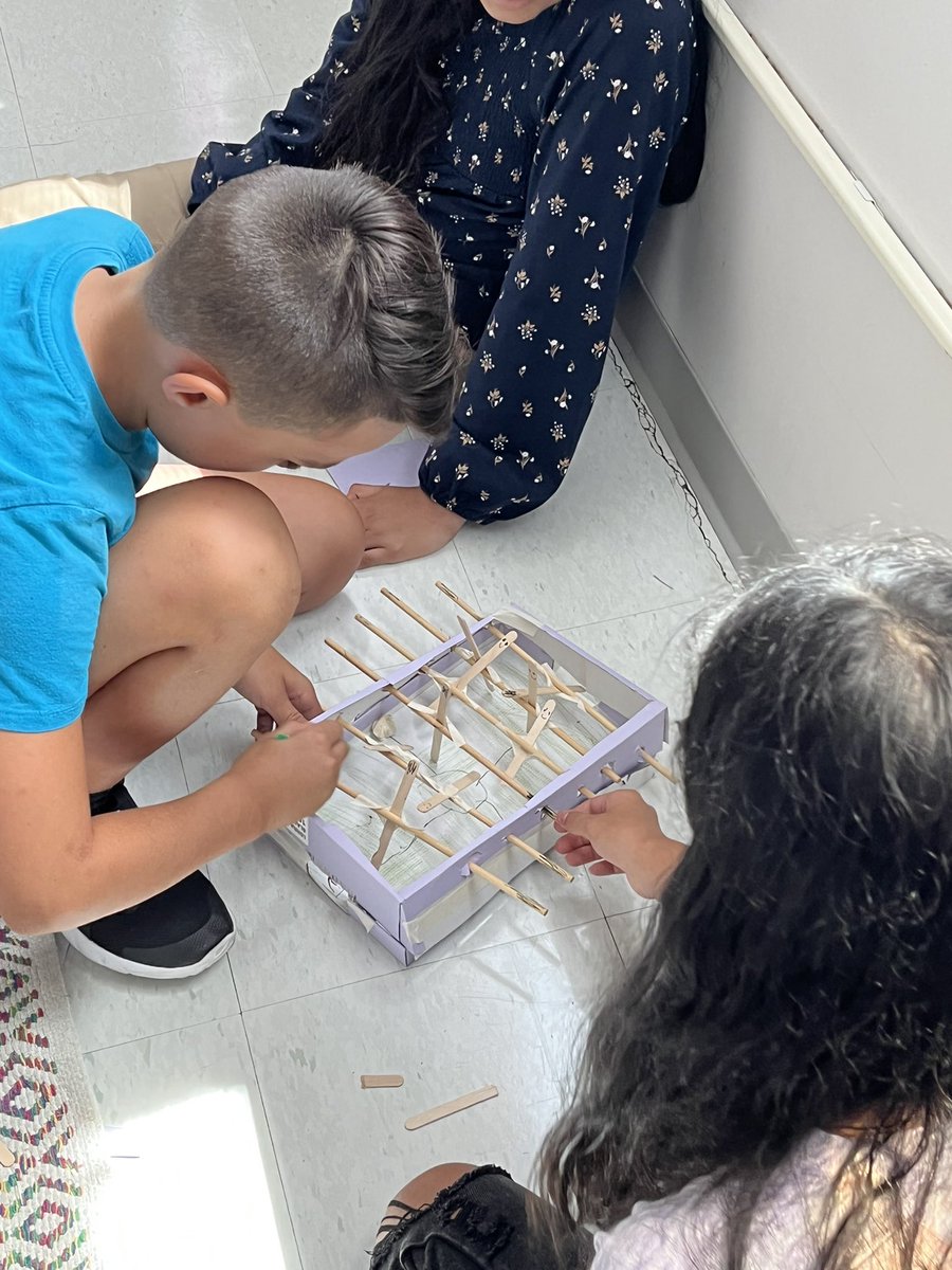 Mallory Weeks tweet media