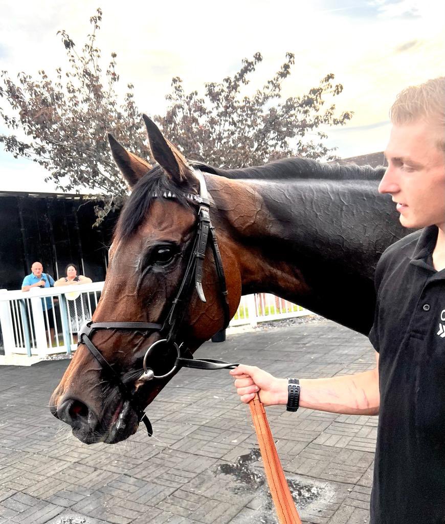 Congratulations to the ownersgroup.co.uk owners of Blame It On Sally, who won well tonight <a href="/kemptonparkrace/">Kempton Park Racecourse</a> for Alan King and <a href="/RKingscote/">richard kingscote</a> - worth waiting for! 🐎 🏆 👏🏻 #blameitonsally #ownersgroup