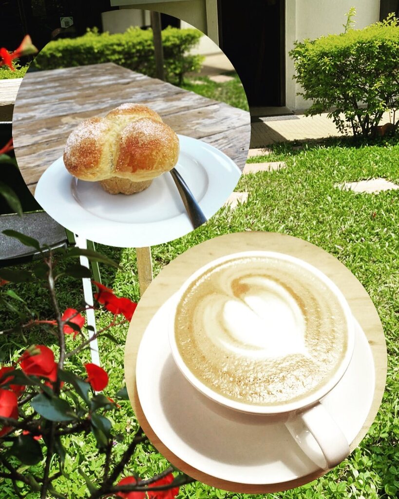 CafeColonMora's tweet photo. Déjate consentir hoy Viernes 2 de Septiembre con los Pancitos dulces tipo Brioche de Café Colón elaborados con Masa Madre Natural, ₡600 cada uno.

Y con Nuestros sandwich de Mano de piedra ahumada, Jamon  de Pavo o de Cerdo o triple Mozzarella. Todos preparados con nuestro … https://t.co/GFNSBcrGQM