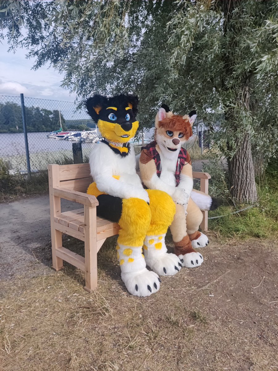 Don't worry Jessey, I'll get you a new ice cream!
<a href="/JesseyDog/">Jessey🏳️‍⚧️</a> 
📸<a href="/CapehFluff/">Capeh</a>
#FursuitFriday