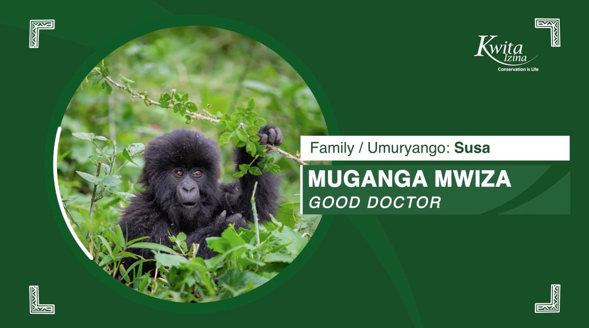 “The name I give him is Muganga Mwiza, meaning Good Doctor. It was chosen to honor the late Dr Paul Farmer - a great friend to Rwanda and to me. Paul's vision for a more just & equitable world lives on in @ughe_org & its remarkable students, & the work of @PIH.” - @laurenepowell