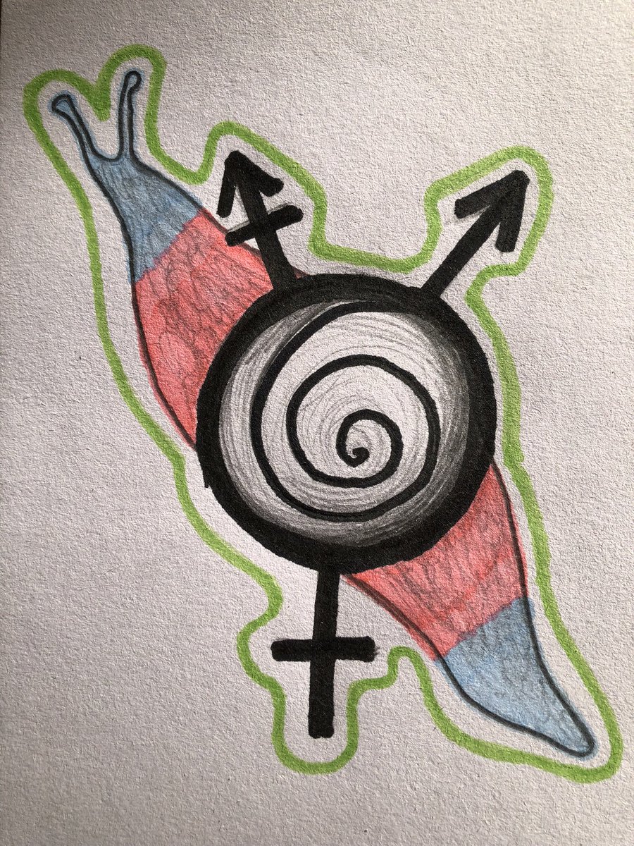 artsyfartsyslug's tweet photo. trans snail for #snailtember 🏳️⚧️🐌 https://t.co/OE0ET8309r