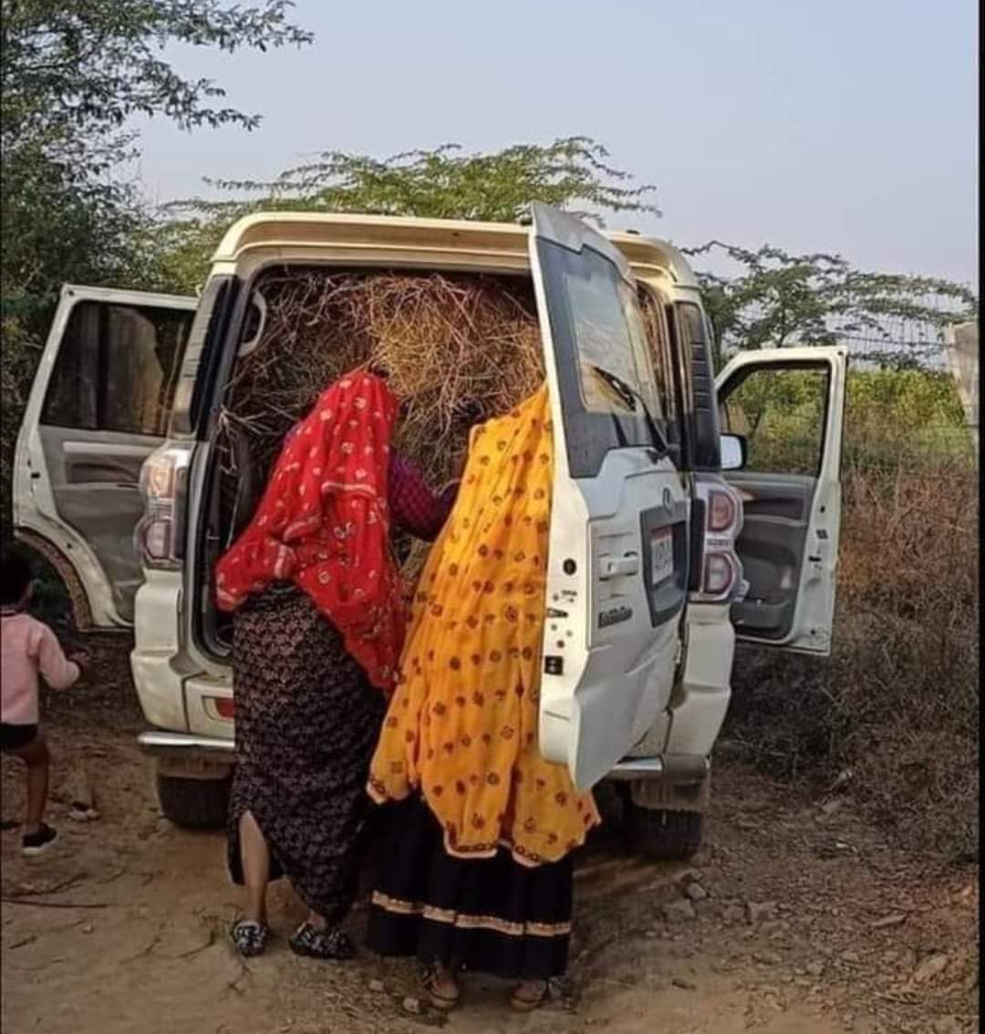 salmepur's tweet photo. #शहर वाले जितना घमंड करते है #मकान_गाडी का
 🤪 #गांव वाले मकान मे #तूड़ा और #गाडी मे #चारा रखते हैं🤣
@BKanapura @JavanSinghMeena @amreshmeena9999 https://t.co/sRiYnxCAmP