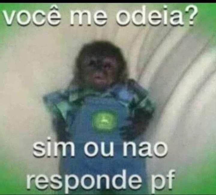 Frases aleatórias em baixa qualidade (@fraseslowqualit) on Twitter photo 