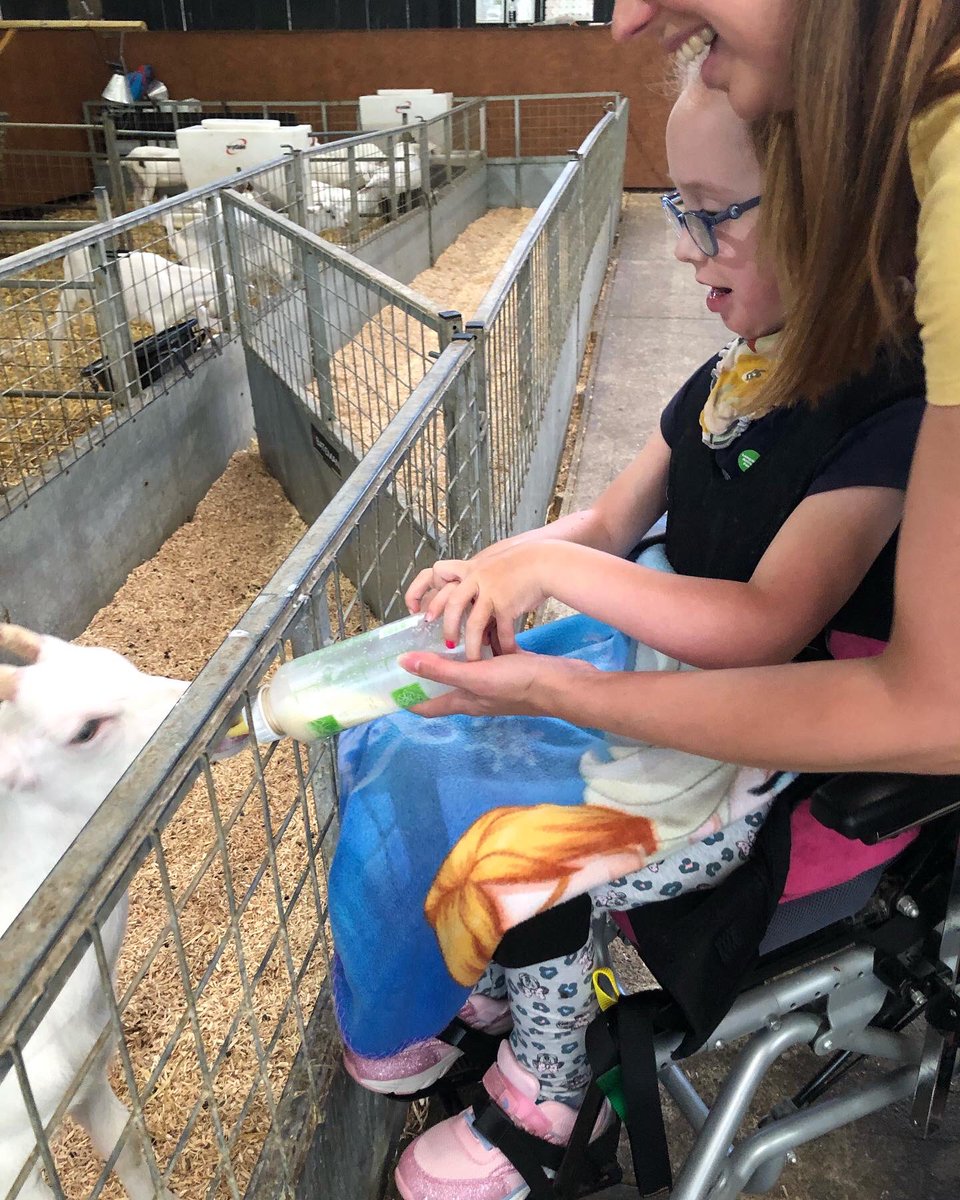 4SandaW's tweet photo. Guinea Pig&amp;chick handling, bottle feeding goats, pitch&amp;putt, go carts, ice cream AND decent changing facilities 👏 We had SUCH a lovely day @LongdownFarm yesterday and we were very excited to take some little Guinea Pigs of our own home 🥰 #ChangingPlaces #accessible #firstpet https://t.co/HwwSThpdfm