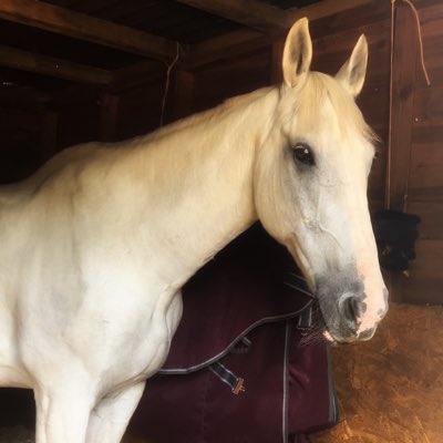 Lisa06399822's tweet photo. #NewProfilePic https://t.co/kkrB8rXEZa