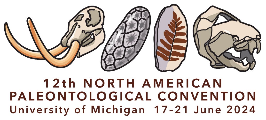 Friedman_Lab's tweet image. A special #FossilFriday: on behalf of the organizing committee, I am pleased to announce that the 12th NAPC will be held in Ann Arbor in 2024. Details to follow, but mark your calendars in the meantime! Logo featuring regional fossils by C. Abraczinskas, @UMichPaleo.